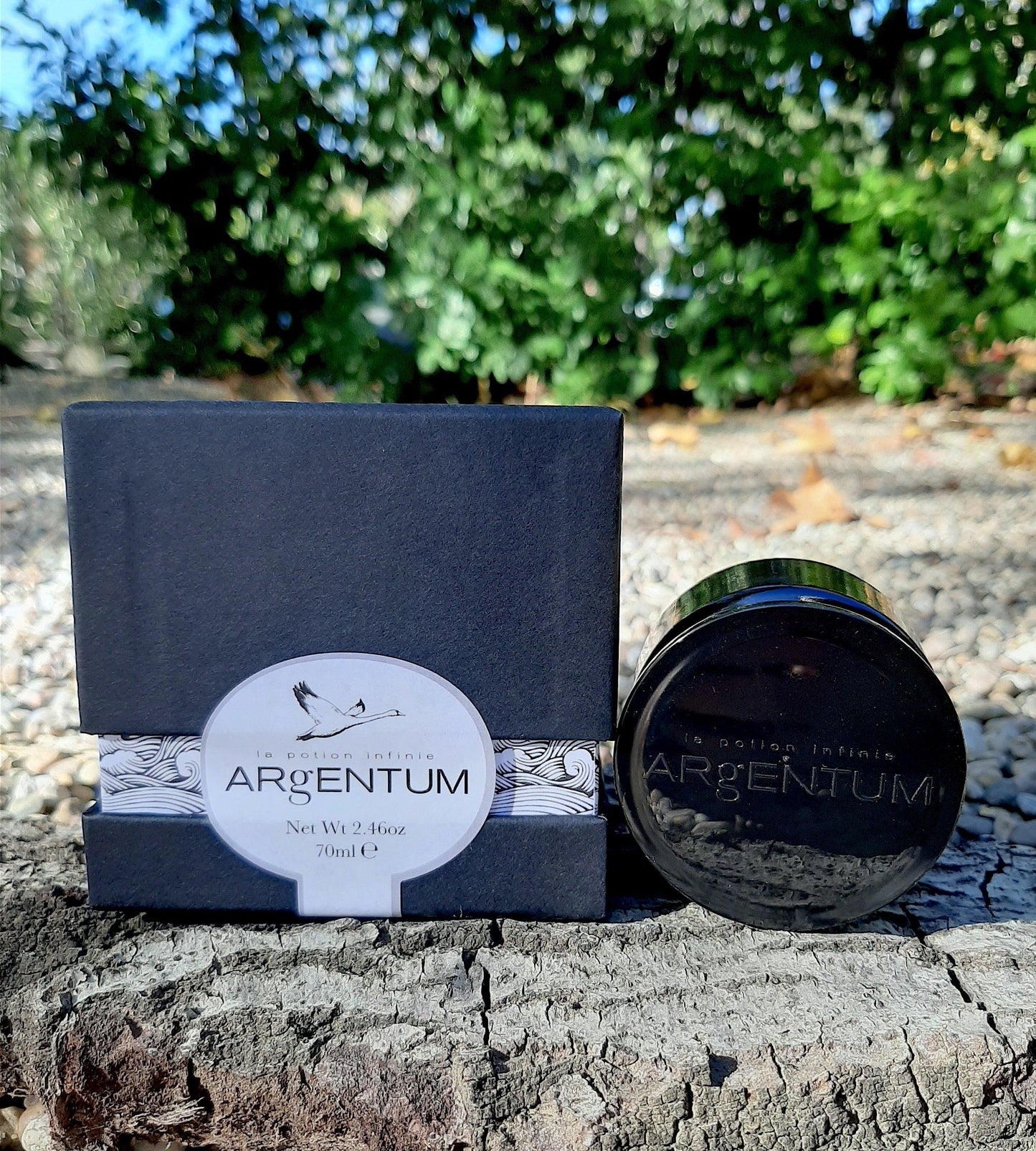 Argentum - La Potion Infinie - Carasoin