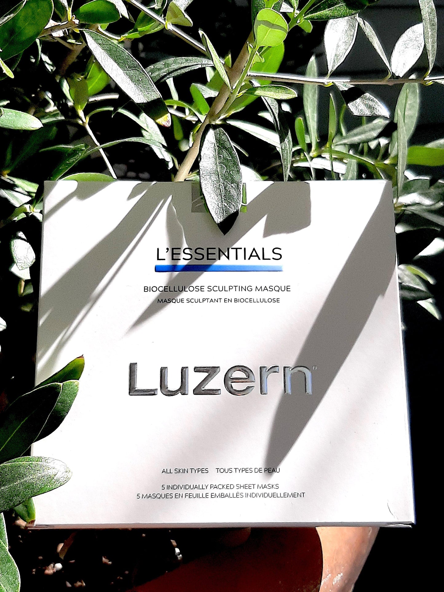 Luzern Biocellulose Sculpting Masque - Carasoin