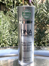 Load image into Gallery viewer, DNA Collagen Night Creme - Carasoin